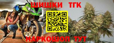 прущие грибы Донецк