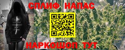 прущие крисы Донской