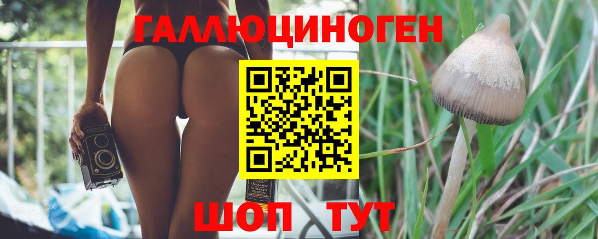 Псилоцибиновые грибы MAGIC MUSHROOMS Балашов